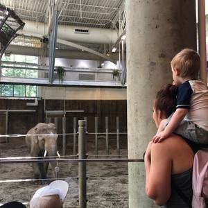 Meet your Posher, Ronni